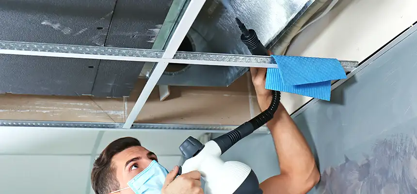 Our Air Duct Rodent Removal Services in Beacon, NY