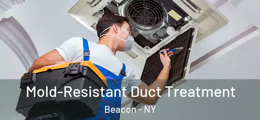  Mold-Resistant Duct Treatment Beacon - NY