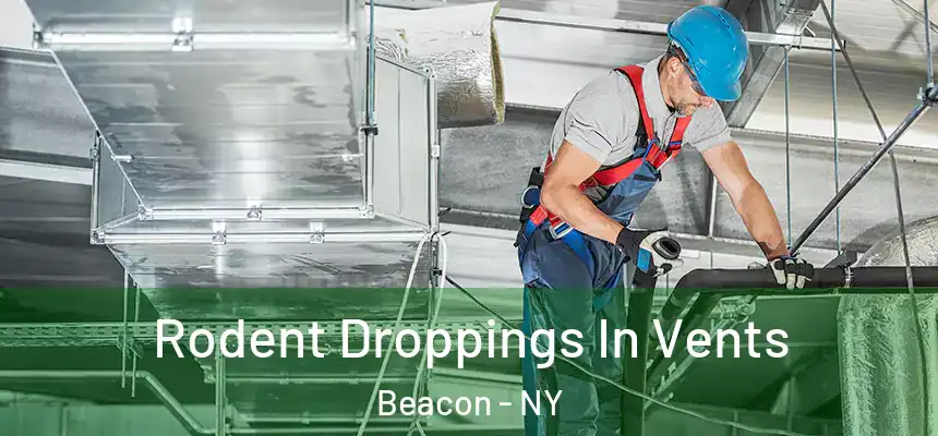  Rodent Droppings In Vents Beacon - NY