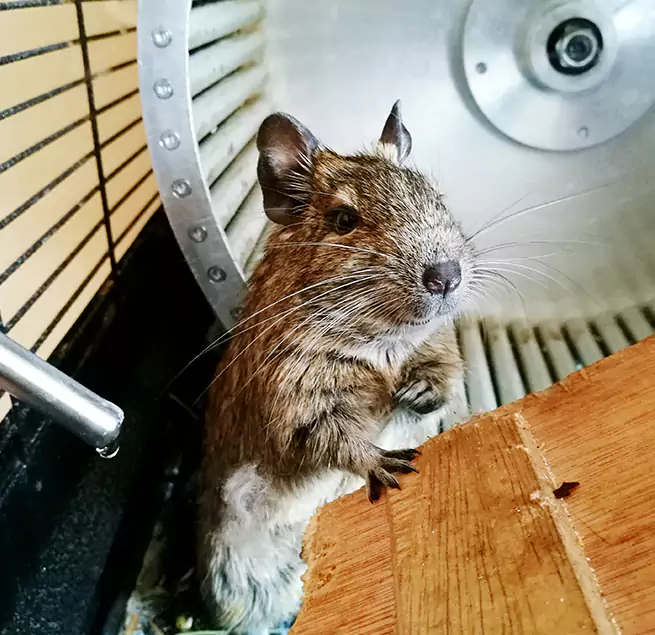 Why Homeowners & Businesses Trust Us Beacon, NY