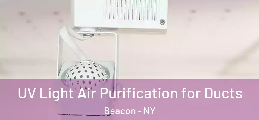  UV Light Air Purification for Ducts Beacon - NY